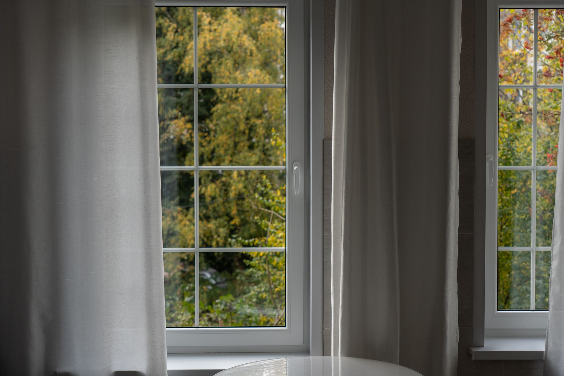 Windows & treatments